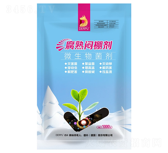 ���쐞�-��