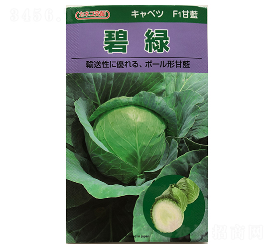 �̾G���{(l��n)-���{(l��n)�N��-ɽ��ʢ�N��