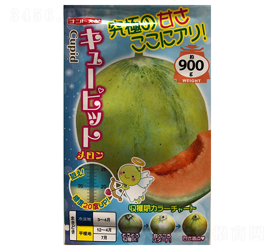 �����-��ϷN��-ɽ��ʢ�N��