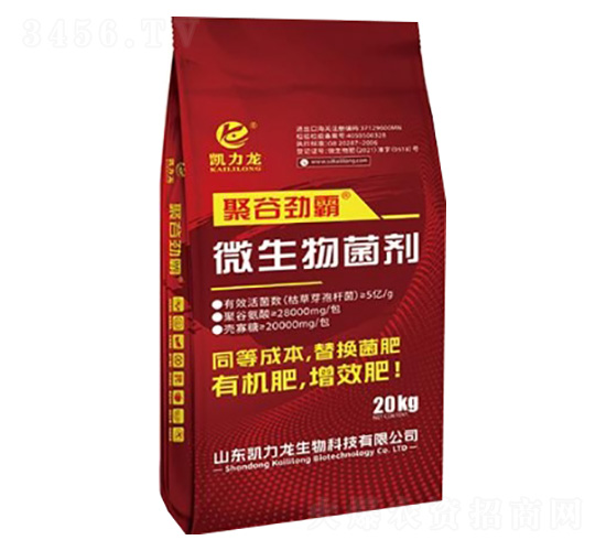 ΢�������-�۹ȄŰ�-�P����