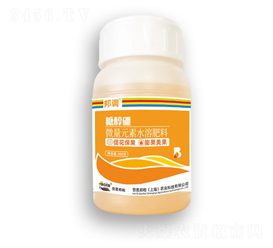 �Ǵ���-���{(di��o)-�ڶ����