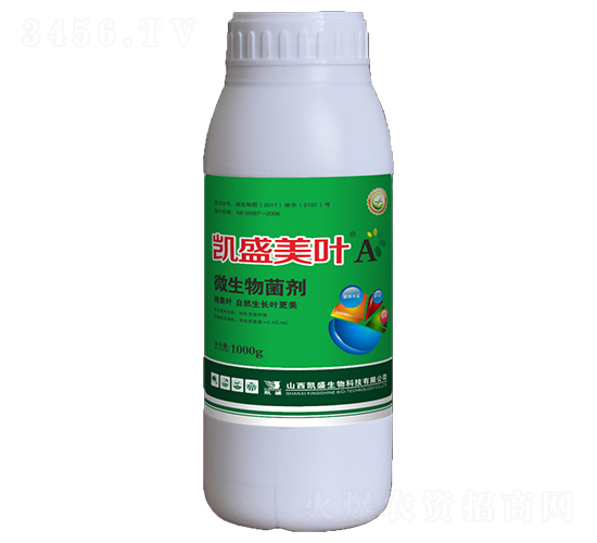 �Pʢ���~A΢�������-�Pʢ