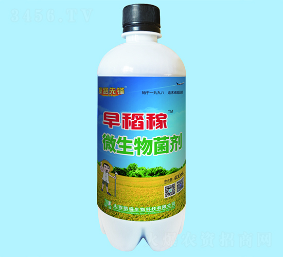 ΢�������-�絾��-�Pʢ