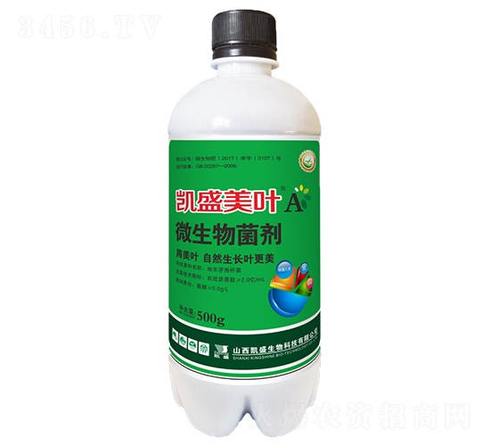 �Pʢ���~��A΢�������-�Pʢ