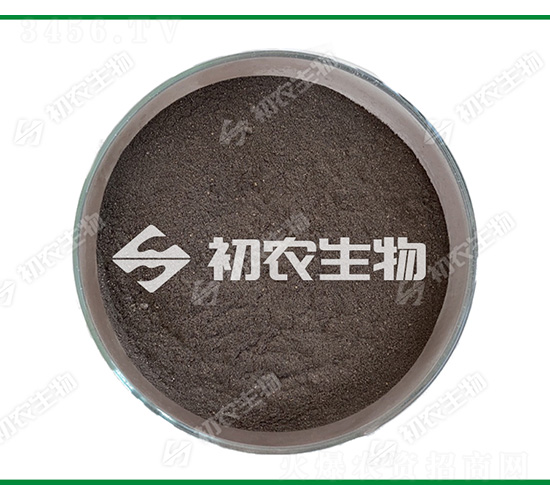 �͜ؽն����섩�������΢���-���r(n��ng)����