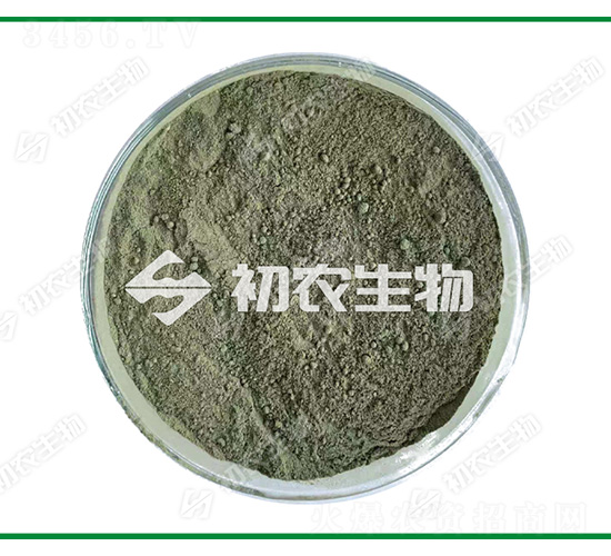 �Gɫľù��ľù�-���r(n��ng)����