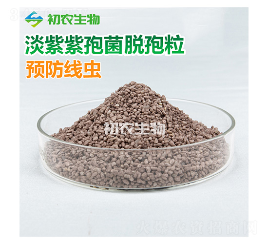 �������߾�Ó��������ù�-���r(n��ng)����