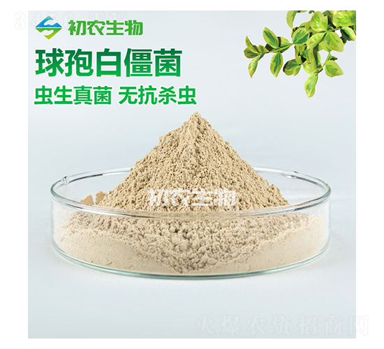 �׽������x������-���r(n��ng)����