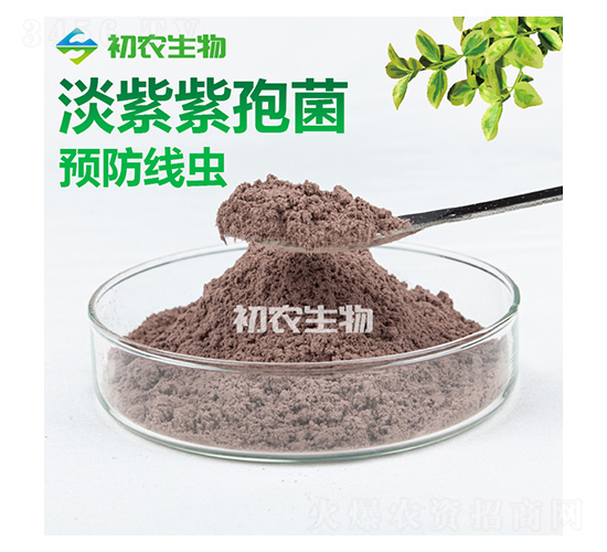 ���ϔM��ù����ù�-���r(n��ng)����