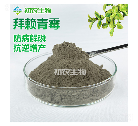 ��ه��ù����ù�-���r(n��ng)����