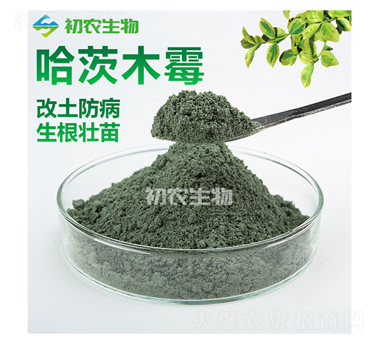 ����ľù��ľù�-���r����