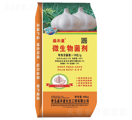 10�|���΢�������-ʢ�̵�