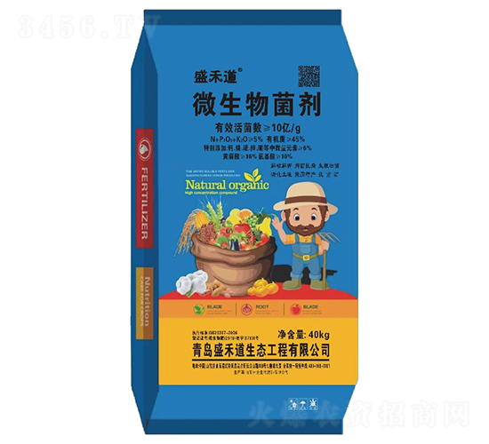 10�|΢�������-ʢ�̵�