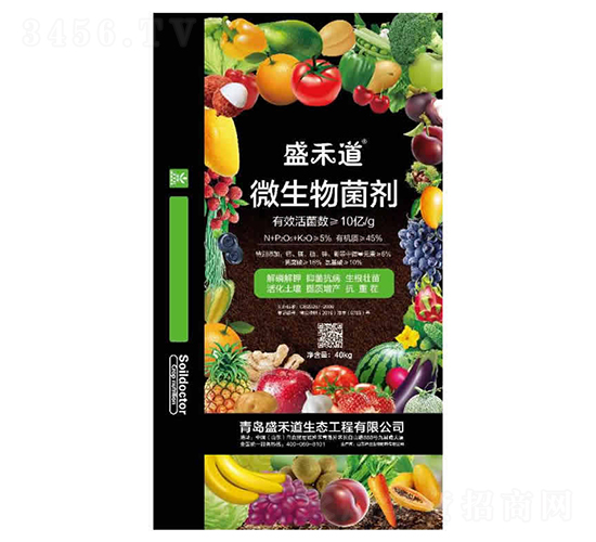 ΢�������10�|���-ʢ�̵�