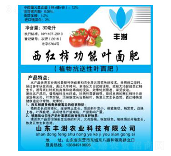 ���t�����~����ˎ