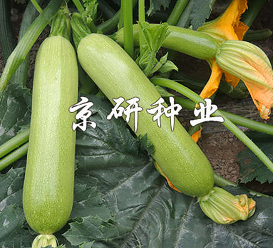 ����7̖-�����J�N��-���зN�I(y��)