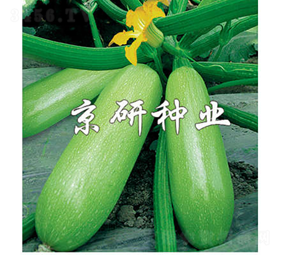 ����12̖(h��o)-�����J�N��-���зN�I(y��)