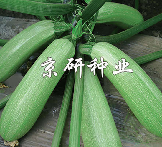 ����CRV2-�����J�N��-���зN�I(y��)