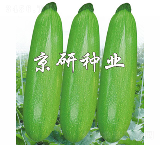 ����37-�����J�N��-���зN�I(y��)