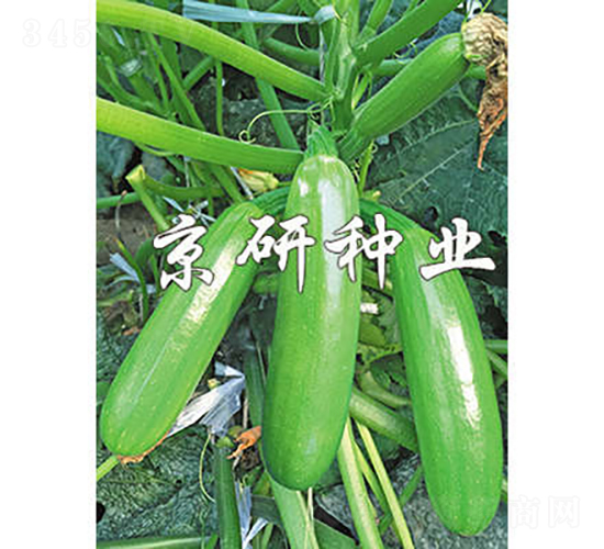 ����42̖-�����J�N��-���зN�I(y��)