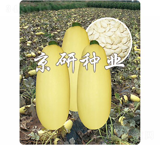 �������S1̖-�����J�N��-���зN�I(y��)