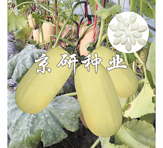 �������S2̖(h��o)-�����J�N��-���зN�I(y��)