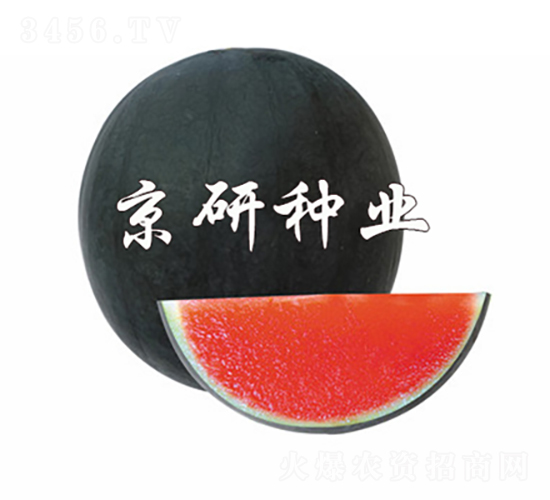 ����-���ϷN��-���зN�I(y��)