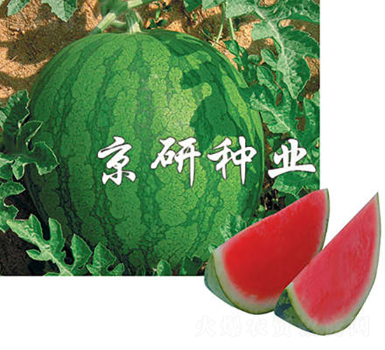 ����1̖-���ϷN��-���зN�I(y��)