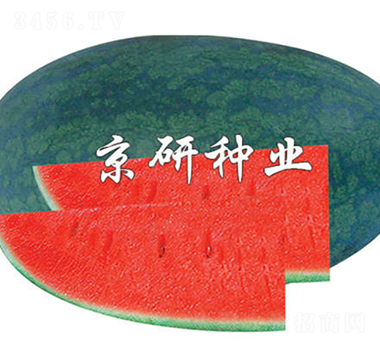 ����-���ϷN��-���зN�I(y��)