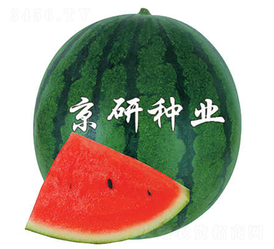 ��������2̖-���ϷN��-���зN�I(y��)