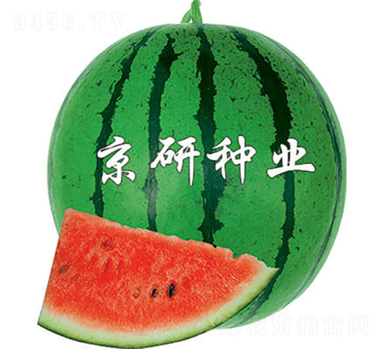 ����4̖-���ϷN��-���зN�I(y��)