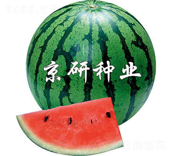 ����2̖-���ϷN��-���зN�I(y��)