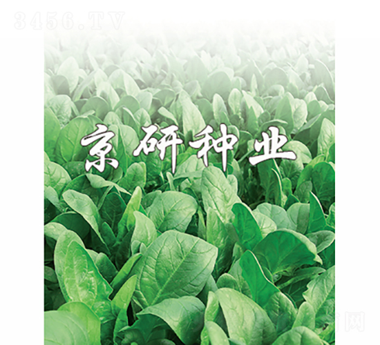 ����1̖-���˷N��-���зN�I(y��)