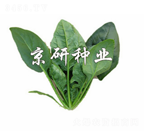 ����700-���˷N��-���зN�I(y��)