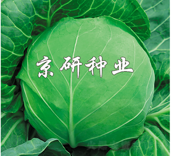 ����4̖-���{(l��n)�N��-���зN�I(y��)