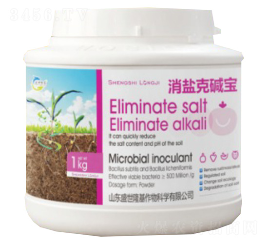 ���}�ˉA��-ʢ��¡��