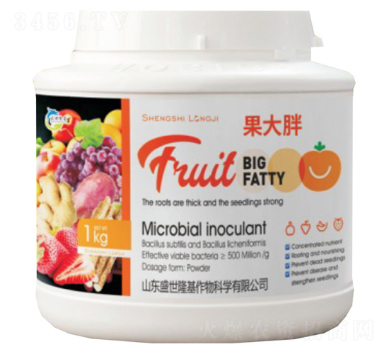 ������-ʢ��¡��