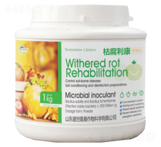 �ݸ�����-ʢ��¡��