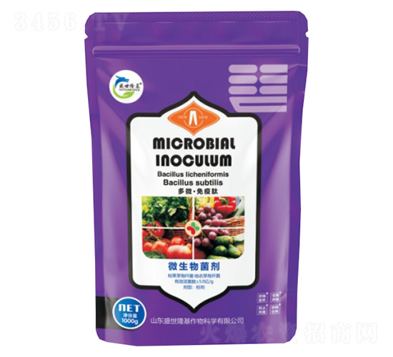 ��S��������-ʢ��¡��