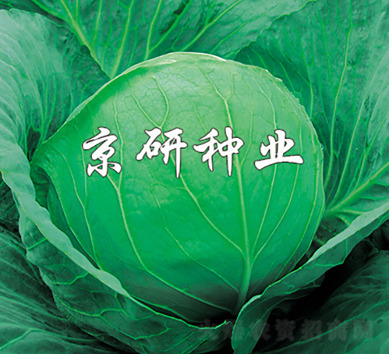 ���7̖(h��o)-���{(l��n)�N��-���зN�I(y��)