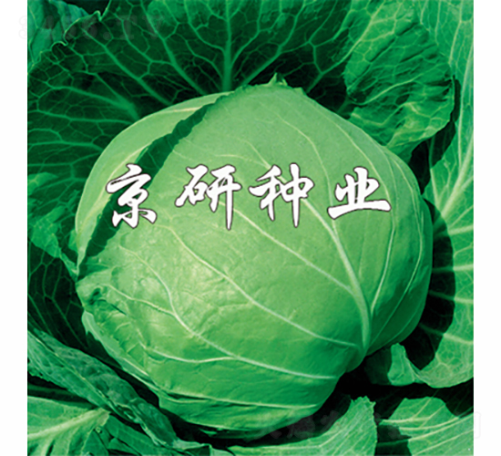 �����ļ�-���{�N��-���зN�I(y��)