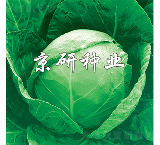 ���3̖-���{(l��n)�N��-���зN�I(y��)