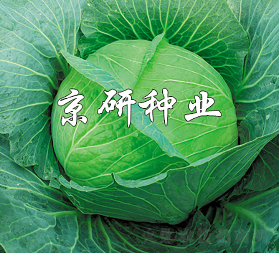 ���16̖(h��o)-���{(l��n)�N��-���зN�I(y��)