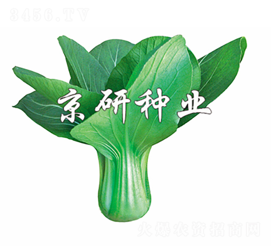 ���G4̖-�Ͳ˷N��-���зN�I(y��)