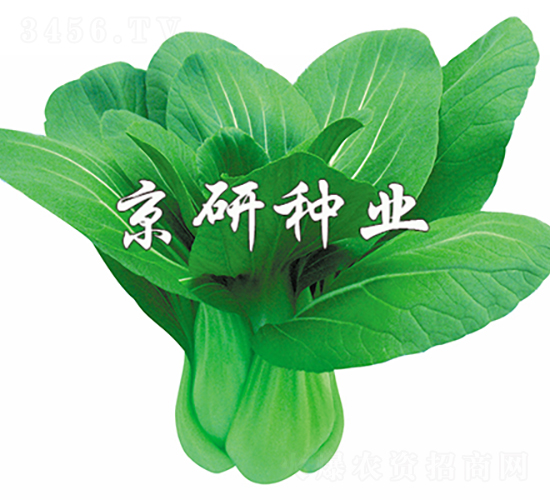 ����1̖-�Ͳ˷N��-���зN�I(y��)