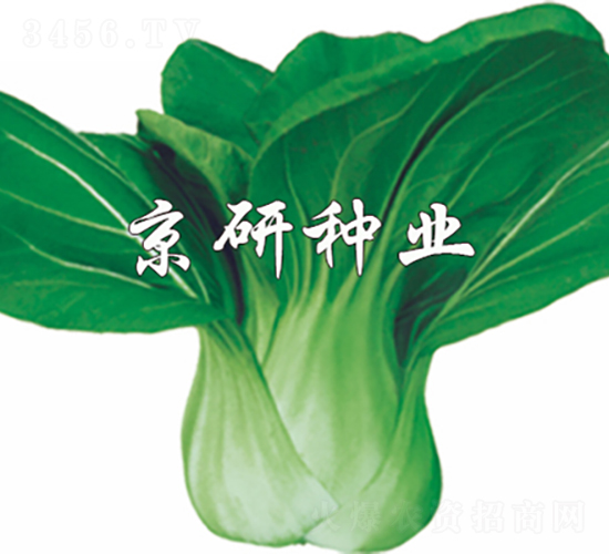 ����-�Ͳ˷N��-���зN�I(y��)