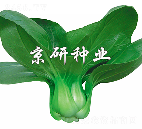 ����5̖(h��o)-�Ͳ˷N��-���зN�I(y��)