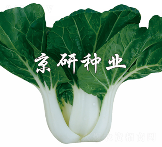 ���к��~2̖(h��o)-�Ͳ˷N��-���зN�I(y��)