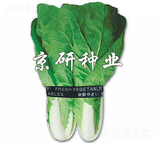 ���п��-�ײ˷N��-���зN�I(y��)