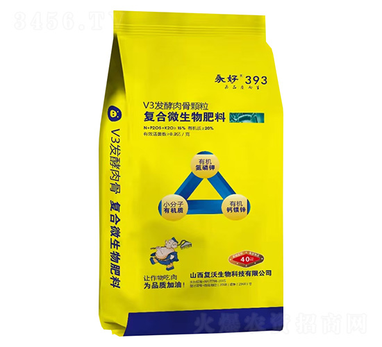 V3�l(f��)������w���ͺ�΢�������-����393-��������